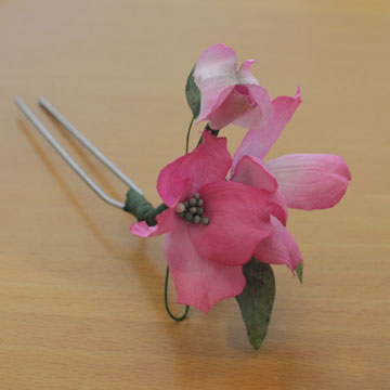 �n�i�~�Y�L