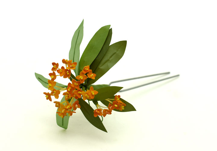 �L�����N�Z�C