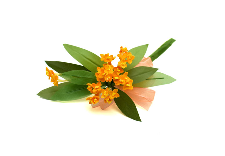 �L�����N�Z�C