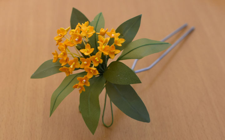 �L�����N�Z�C