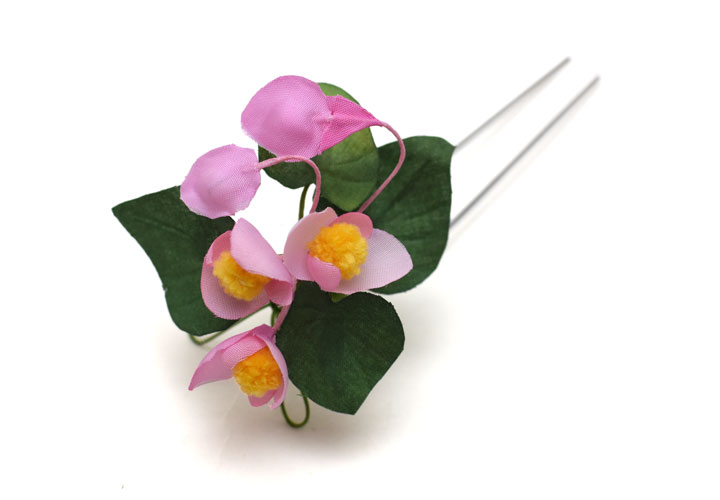 �V���E�J�C�h�E