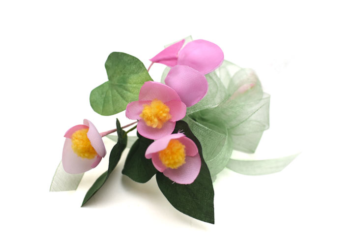 �V���E�J�C�h�E