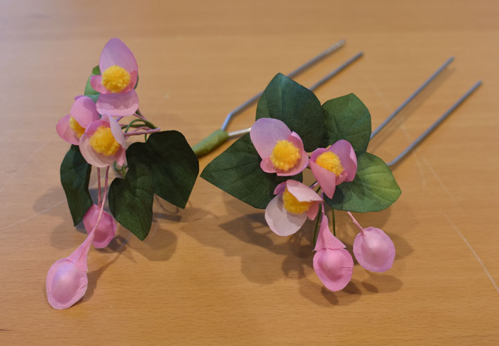 �V���E�J�C�h�E