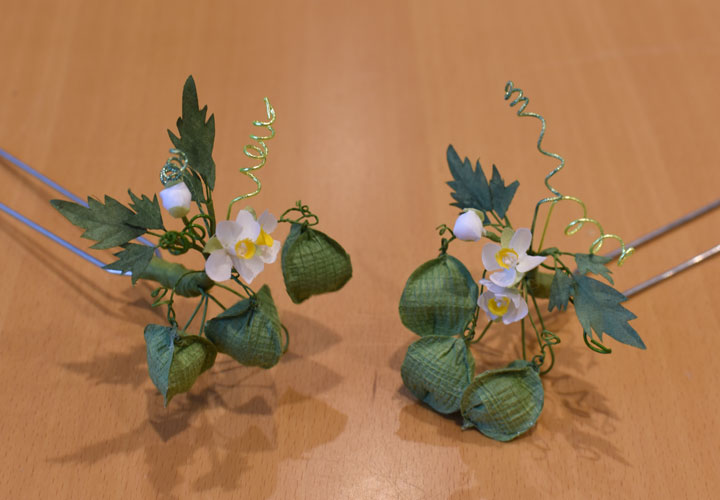 �t�E�Z���J�Y��