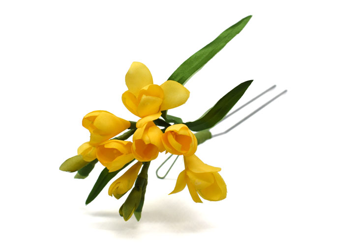 �t���[�W�A