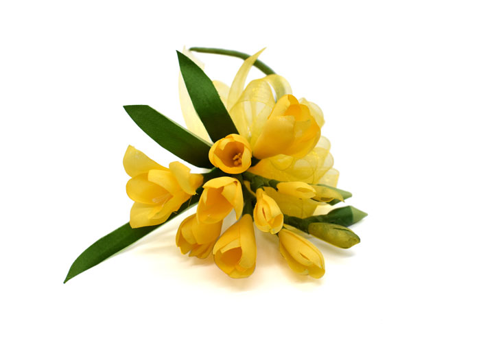 �t���[�W�A