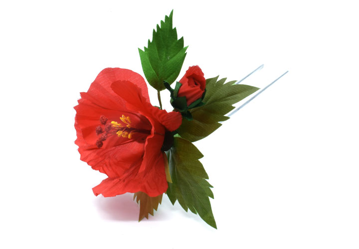 �n�C�r�X�J�X