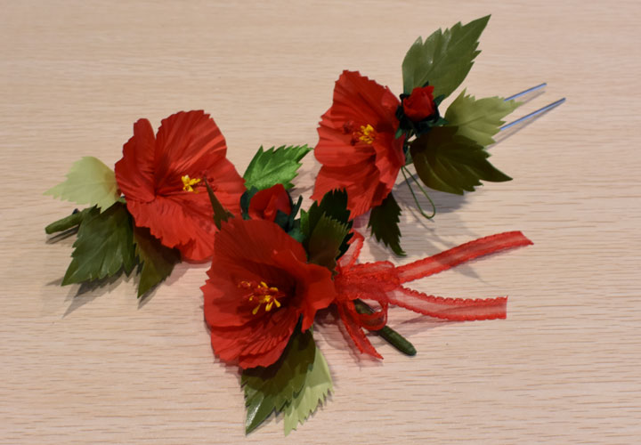 �n�C�r�X�J�X