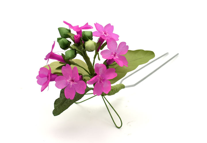 �T�N���\�E