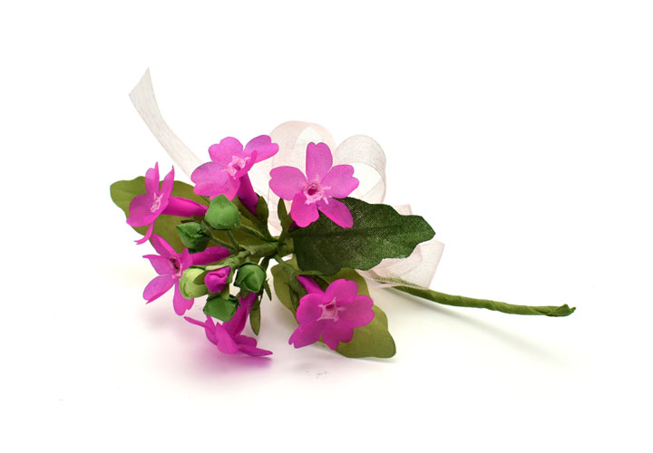 �T�N���\�E