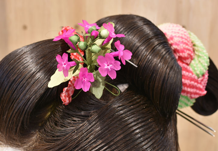 �T�N���\�E