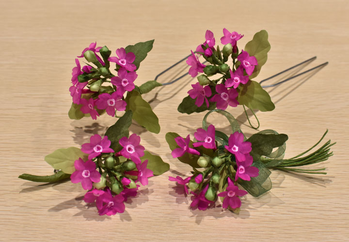 �T�N���\�E