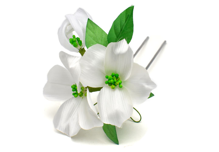 �n�i�~�Y�L