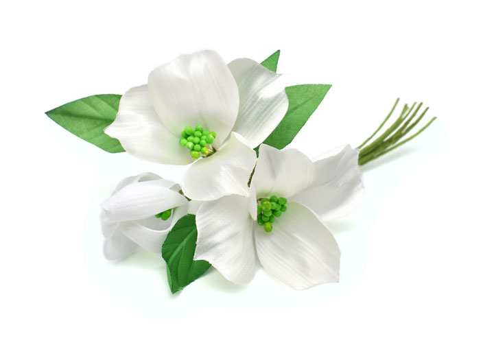 �n�i�~�Y�L