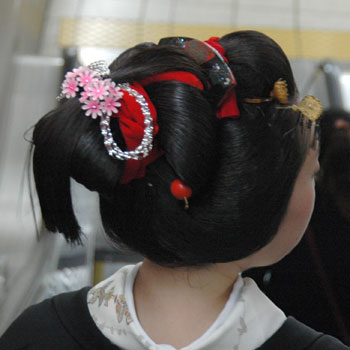 ���{���}�Ӂ@008 ���r