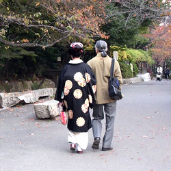 ���{���}�Ӂ@008 ���r