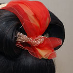 �V���̉H��