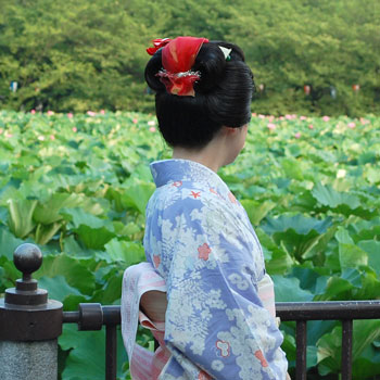 ���{���}�Ӂ@036 �z�V�_