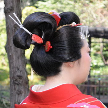 ���{���}�Ӂ@039 �������c