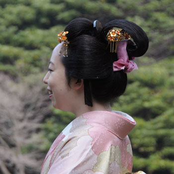 ���{���}�Ӂ@041 ����