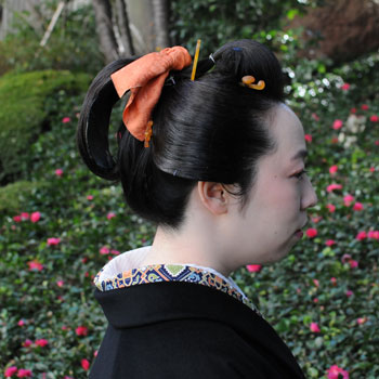 ���{���}�Ӂ@059 �㏟�R�@�G���K���gVer.