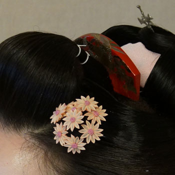 ���{���}�Ӂ@061 �ӂ��琝���G�~���e��