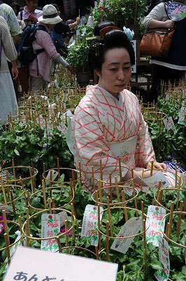 ���{���}�� 062 ���R