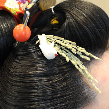 ���{���}�Ӂ@105 �z�V�_