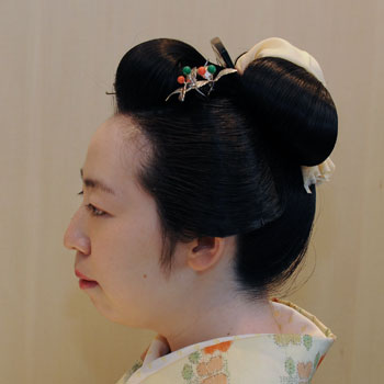 ���{���}�Ӂ@120 �z�V�_