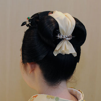 ���{���}�Ӂ@120 �z�V�_