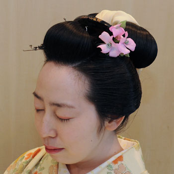 ���{���}�Ӂ@120 �z�V�_