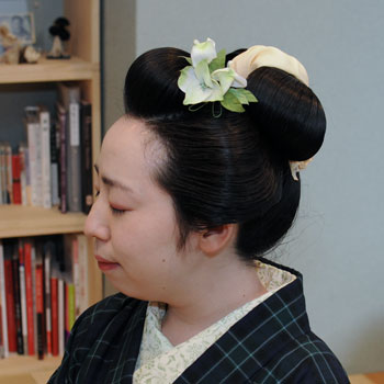 ���{���}�Ӂ@120 �z�V�_