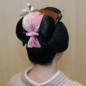 ���{���}�Ӂ@120 �z�V�_