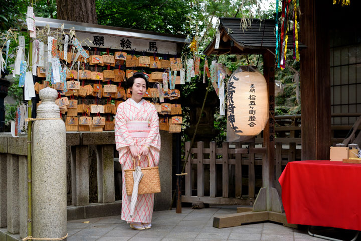 ���{���}�Ӂ@131 �㏟�R