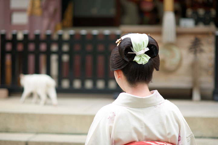 ���{���}�Ӂ@138 �z�V�_