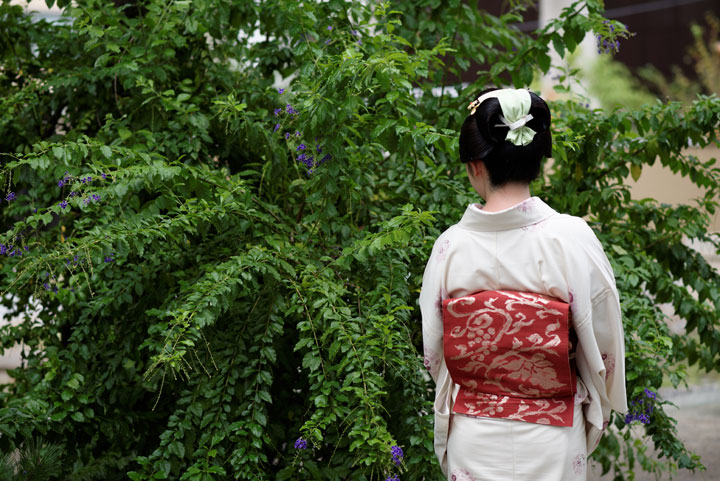 ���{���}�Ӂ@138 �z�V�_