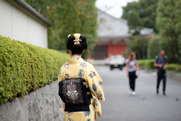 ���{���}�Ӂ@140 �z�V�_