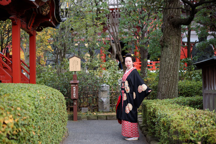 ���{���}�� 146 ����