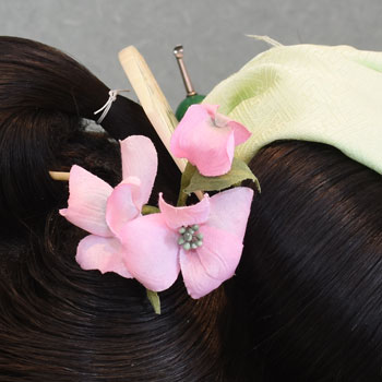 ���{���}�Ӂ@165 �z�V�_