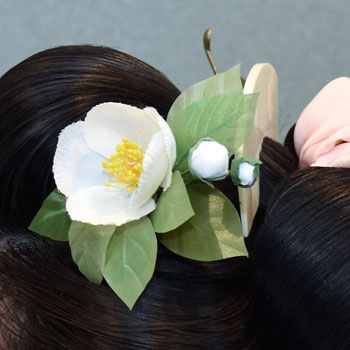 ���{���}�Ӂ@171 �z�V�_