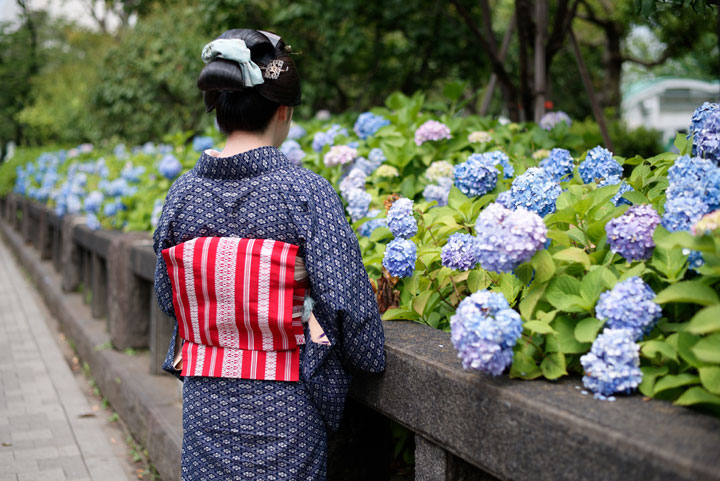 ���{���}�Ӂ@172 ����  photo by �����̃J�����_�[