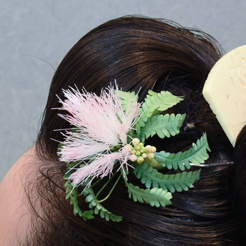 ���{���}�Ӂ@171 �z�V�_