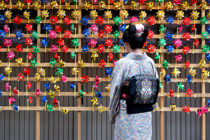 ���{���}�Ӂ@187 �z�V�_  photo by �����̃J�����_�[