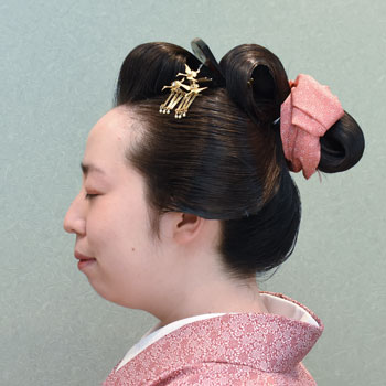 ���{���}�� 210 ����