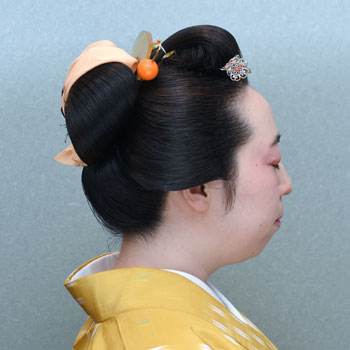 ���{���}�Ӂ@213 �z�V�_