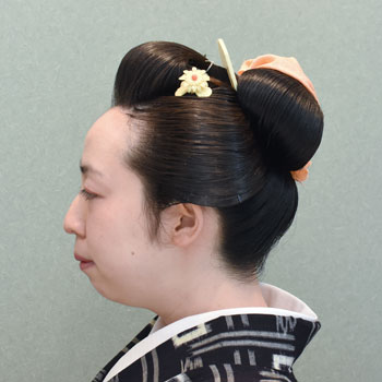 ���{���}�Ӂ@215 �z�V�_