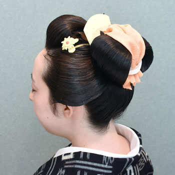 ���{���}�Ӂ@215 �z�V�_