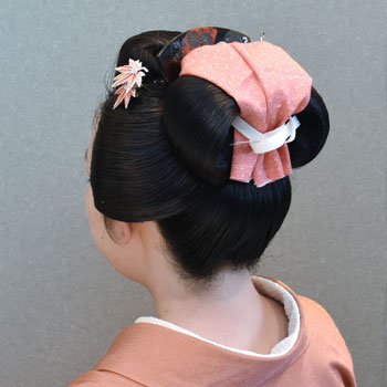 ���{���}�Ӂ@229 �z�V�_