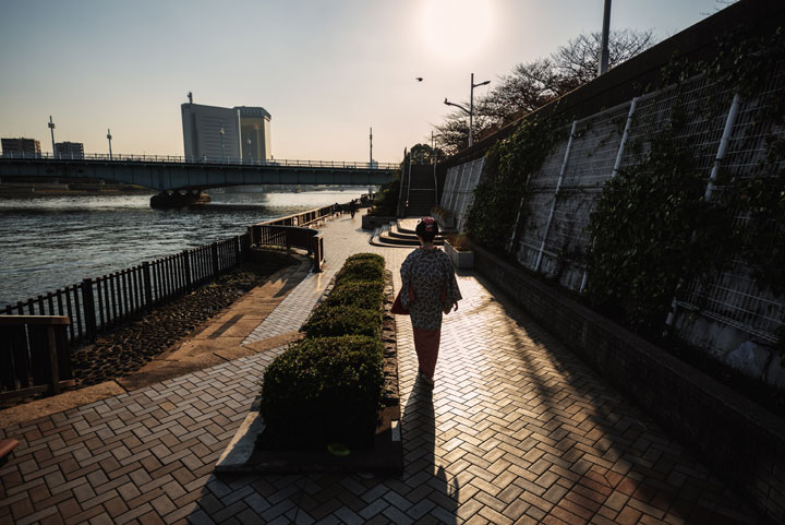 ���{���}�Ӂ@229 �z�V�_  photo by �����̃J�����_�[