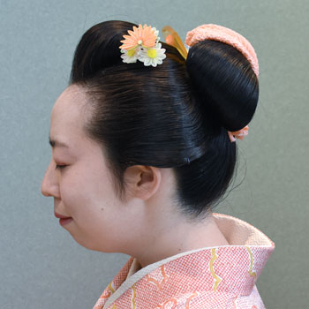 ���{���}�Ӂ@231 �z�V�_